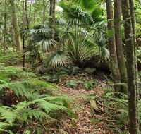 Durras Lake Discovery trail - New South Wales Tourism 
