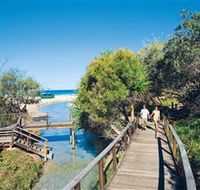Eli Creek - New South Wales Tourism 