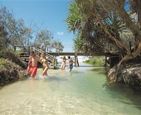 Eli Creek - New South Wales Tourism  1