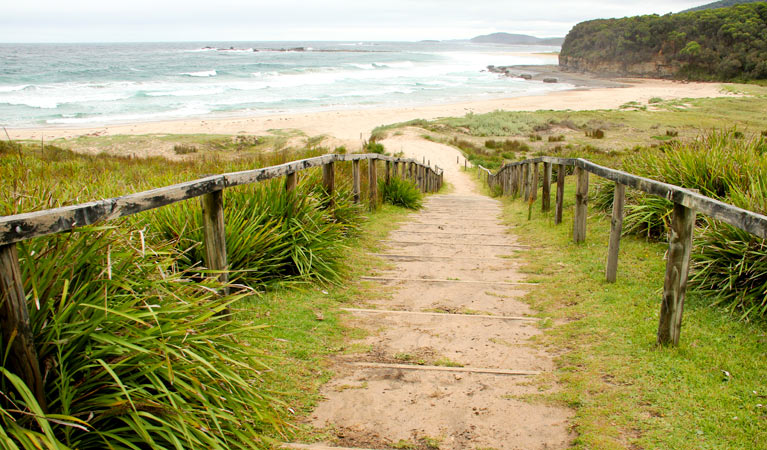 Pretty Beach NSW New South Wales Tourism