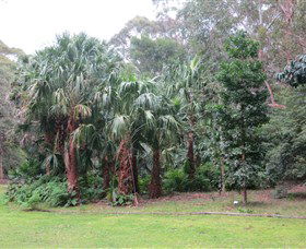 Booderee National Park Botanic Gardens - New South Wales Tourism  4