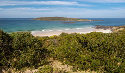 Murramarang Aboriginal Area - New South Wales Tourism  0