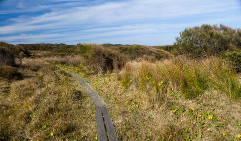 Murramarang Aboriginal Area - New South Wales Tourism  1