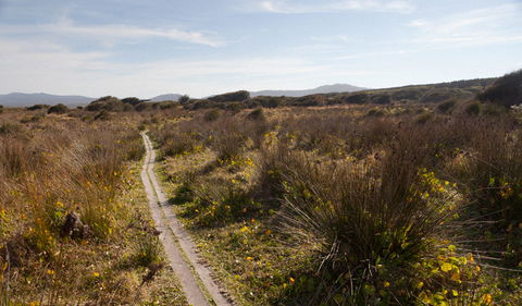 Murramarang Aboriginal Area Walking Track - New South Wales Tourism  2