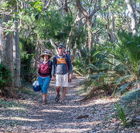 Myrtle Beach walking track - New South Wales Tourism 
