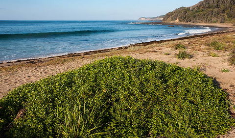 Richmond Beach - New South Wales Tourism  0