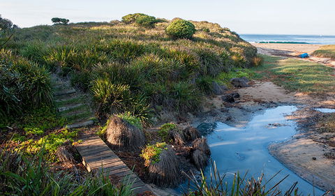 Richmond Beach - New South Wales Tourism  1