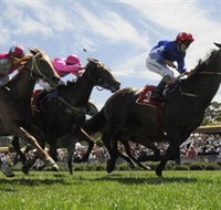 Moruya Racecourse - New South Wales Tourism 
