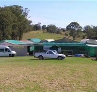 Tinonee Orchid Nursery - New South Wales Tourism 
