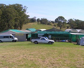 Tinonee Orchid Nursery - New South Wales Tourism  0