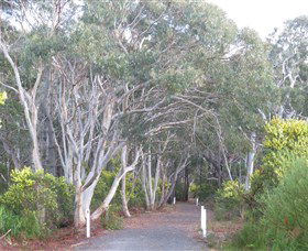 Booderee National Park: Munyunga Waraga Dhugan Walking Trail - New South Wales Tourism  3