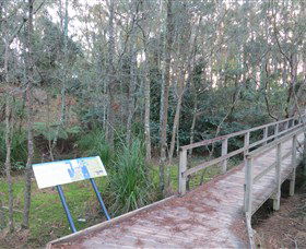 Booderee National Park: Munyunga Waraga Dhugan Walking Trail - New South Wales Tourism  8