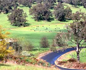 Blackwood River Tourist Drive - New South Wales Tourism  0