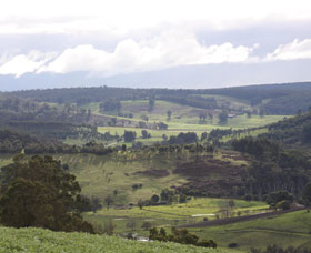 Blackwood River Tourist Drive - New South Wales Tourism  2