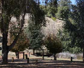 Oak Grove Walk, Balingup - New South Wales Tourism  2