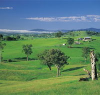 Bemboka - New South Wales Tourism 