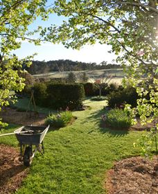All Saints Garden - New South Wales Tourism  0