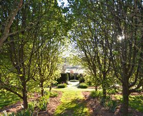 All Saints Garden - New South Wales Tourism  4