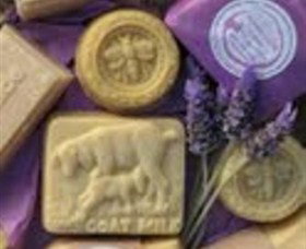 Honeycomb Valley Farm - New South Wales Tourism  0