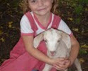 Honeycomb Valley Farm - New South Wales Tourism  7