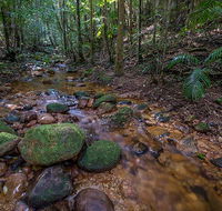 Starrs Creek picnic area - New South Wales Tourism 