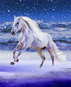 Australian Outback Spectacular: High Country Legends - New South Wales Tourism  1