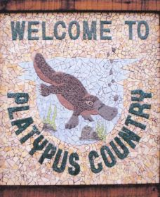 Cathcart NSW New South Wales Tourism