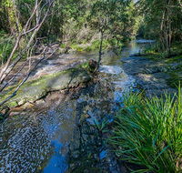 Dawson River walking track - New South Wales Tourism 
