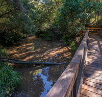 Ms Kellys walking track - New South Wales Tourism 