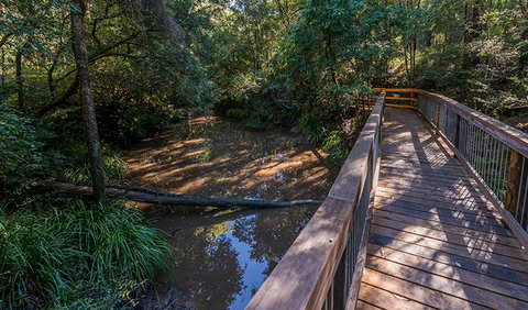 Ms Kellys Walking Track - New South Wales Tourism  0