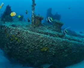 Curtain Artificial Reef Dive Site - New South Wales Tourism  1