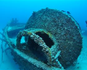 Curtain Artificial Reef Dive Site - New South Wales Tourism  3