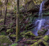Coorabakh National Park - New South Wales Tourism 