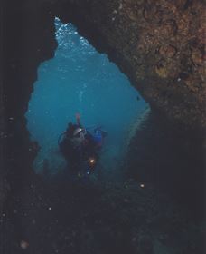 Tangalooma Wrecks Dive Site - New South Wales Tourism  1