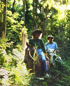 Chatham NSW New South Wales Tourism 