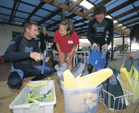 Dolphin Discovery Centre - New South Wales Tourism  1
