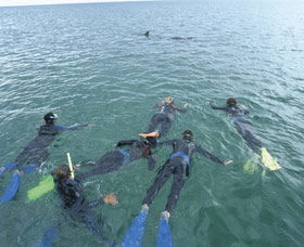 Dolphin Discovery Centre - New South Wales Tourism  2