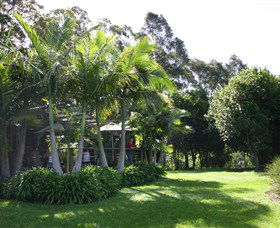 Lorne Valley Macadamia Farm - New South Wales Tourism  0