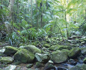 Rocky Creek Dam - New South Wales Tourism  5