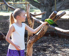 Bunbury Wildlife Park - New South Wales Tourism  1