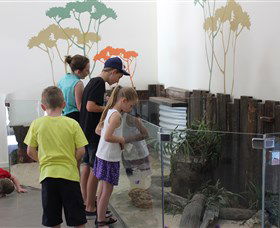 Bunbury Wildlife Park - New South Wales Tourism  2