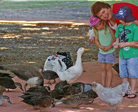 Bunbury Wildlife Park - New South Wales Tourism  3