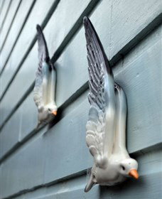 Kingstudio Gallery - New South Wales Tourism  5