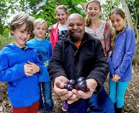 Wigay Aboriginal Culture Park - New South Wales Tourism  0