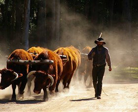 Timbertown Heritage Theme Park - New South Wales Tourism  1