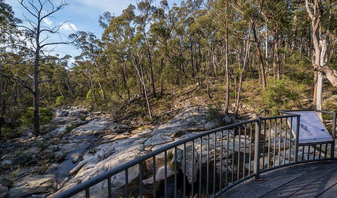 Myanba Gorge Walking Track - New South Wales Tourism  0