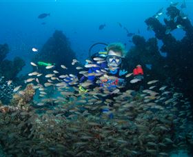 Aarhus Dive Site - New South Wales Tourism  0
