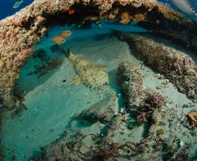 Aarhus Dive Site - New South Wales Tourism  3