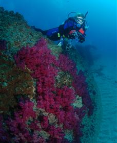 Aarhus Dive Site - New South Wales Tourism  2