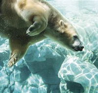 Australia's Sea World - New South Wales Tourism 